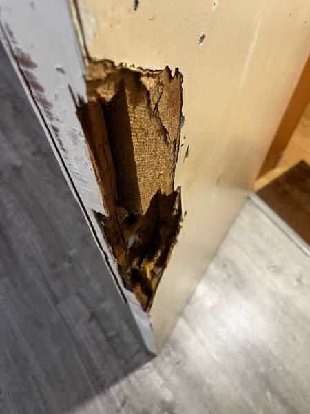 Détail des dommages sur le chambranle de porte à Toulouse