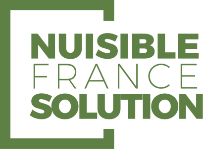 Entreprise de dératisation sérieuse pour éliminer des rats et souris à Toulouse (Haute-Garonne) | NUISIBLE FRANCE SOLUTION